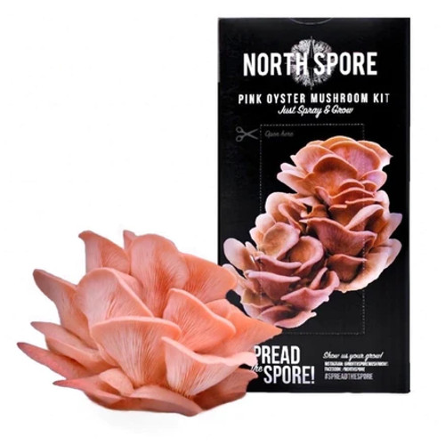 Organic Pink Oyster ‘Spray & Grow’ Mushroom Growing Kit