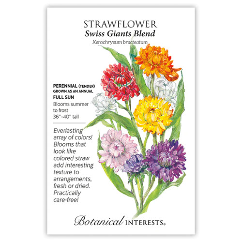 Botanical Interests - Swiss Giants Blend Strawflower