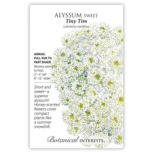 Botanical Interests - Tiny Tim Sweet Alyssum