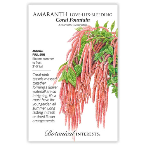 Botanical Interests - Coral Fountain Love-Lies-Bleeding Amaranth
