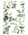 NYBG Ficus Tea Towel