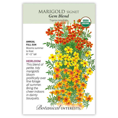 Botanical Interests - Gem Blend Signet Marigold - NYBG Shop