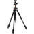 Canon EOS R3 Mirrorless Camera and Audio Recording Kit +Tripod +Microphone - NJ Accessory/Buy Direct & Save