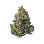 Hella Jelly - AAA Exotic Smalls