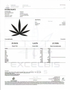 Double Runtz - THCa Flower