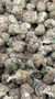 Purple Milk - AAA Exotic THCa Smalls