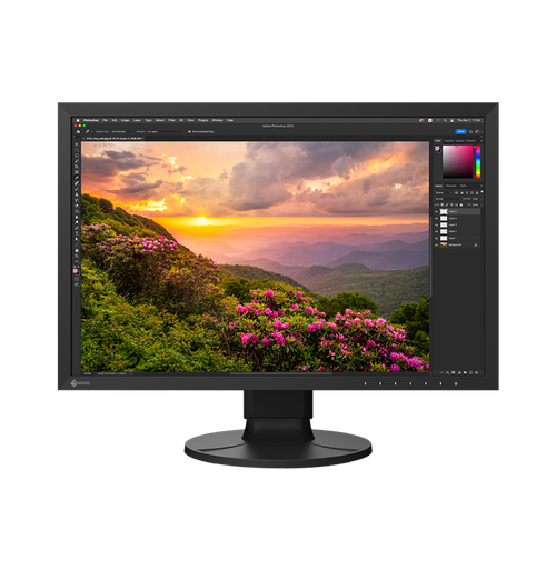 EIZO CS2400S