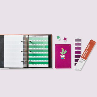 PANTONE SOLID COLOR SET #GP1608B (EA)