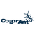 ColorLogic ColorAnt