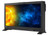 EIZO Prominence side view