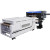 Audley 24"DTF 6 Head + Pro Powder Shaker