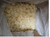HOT MELT ADHESIVE #5056 - 31 LBS/BOX FOR TURRET REWINDERS [FOB] (BOX)