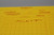 LITHCO GOLDENROD MASKING SHEETS
