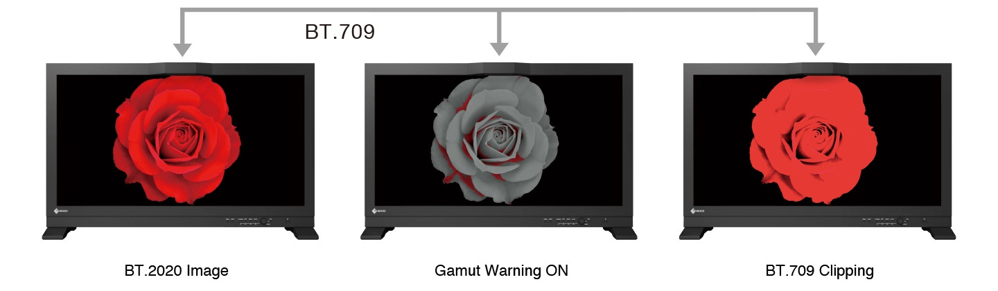 BT.709 Out-of-Gamut Warning