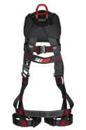 Back Image