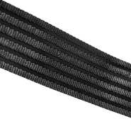Webbing Image
