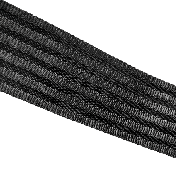 Webbing Image