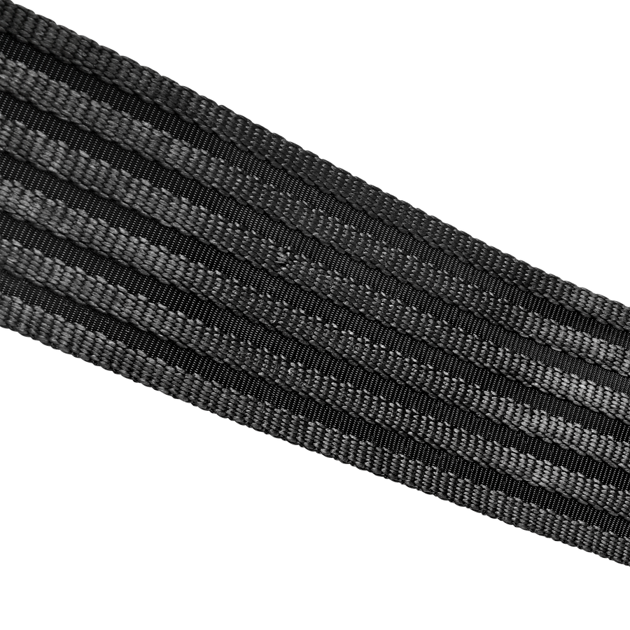 Webbing Image