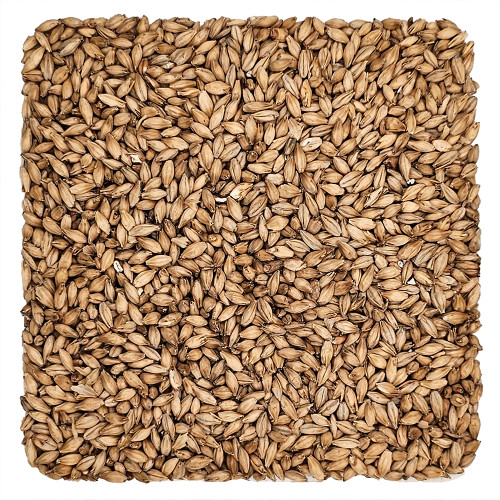 Home Brew Ohio 6-Row Grain 5 lb