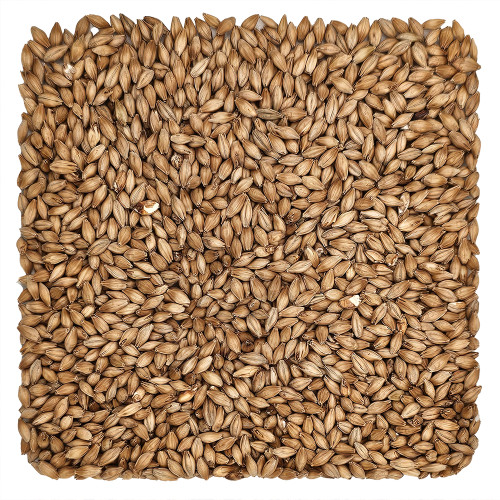 Home Brew Ohio Golden Promise Grain 5lb