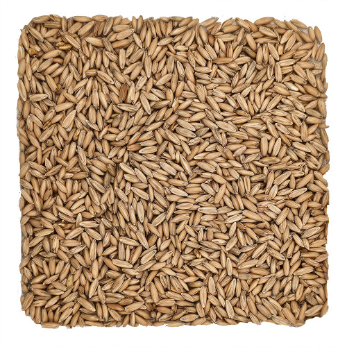 Malted Oats Grain 10lb