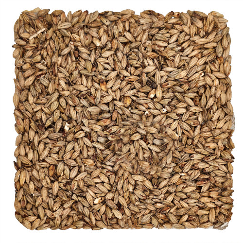 Home Brew Ohio Honey Malt Grain 1lb