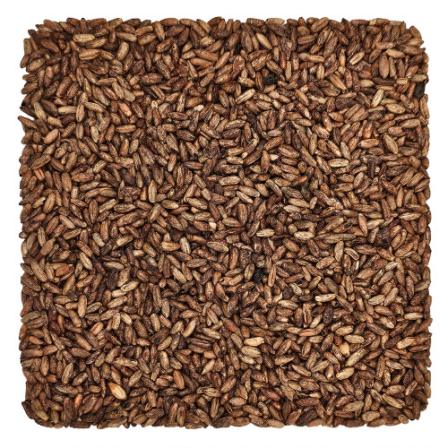 CaraRye Grain 1lb