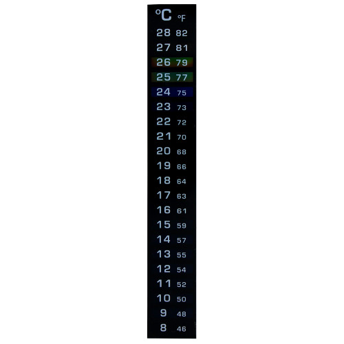 Dual Scale Liquid Thermometer