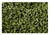 Pellet Hops - Cascade LupuLN2 Cryo Hops - 1 Oz