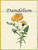 Dandelion Wine Labels 30/Pack Specialty Collection
