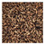 CaraRye Grain 10lb