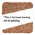 Torrified Red Wheat Grain 50lb