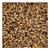 Weyermann CaraRed Grain 55lb