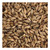 Honey Malt Grain 1lb