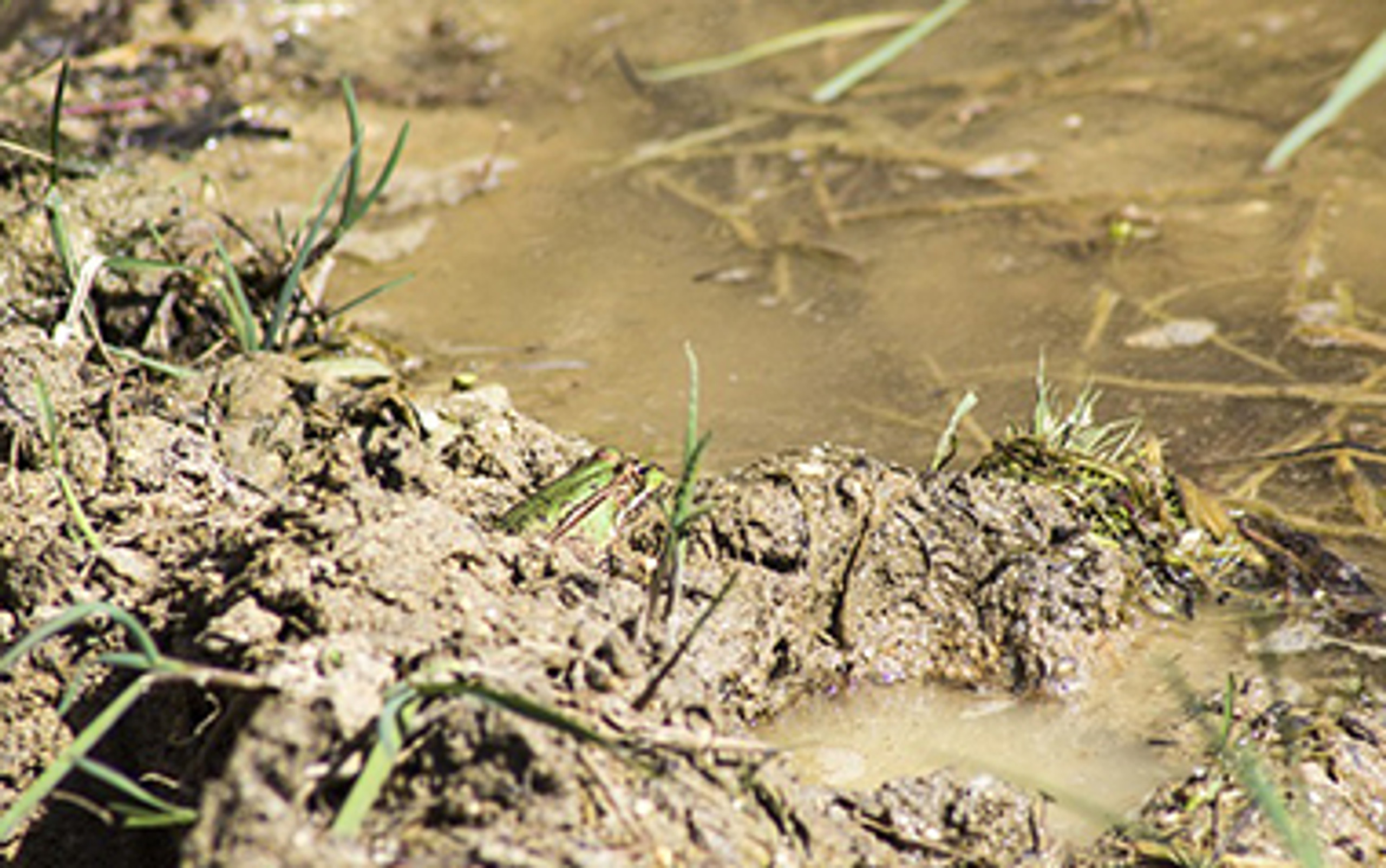 Leachate Water Treatment Pure Aqua, Inc