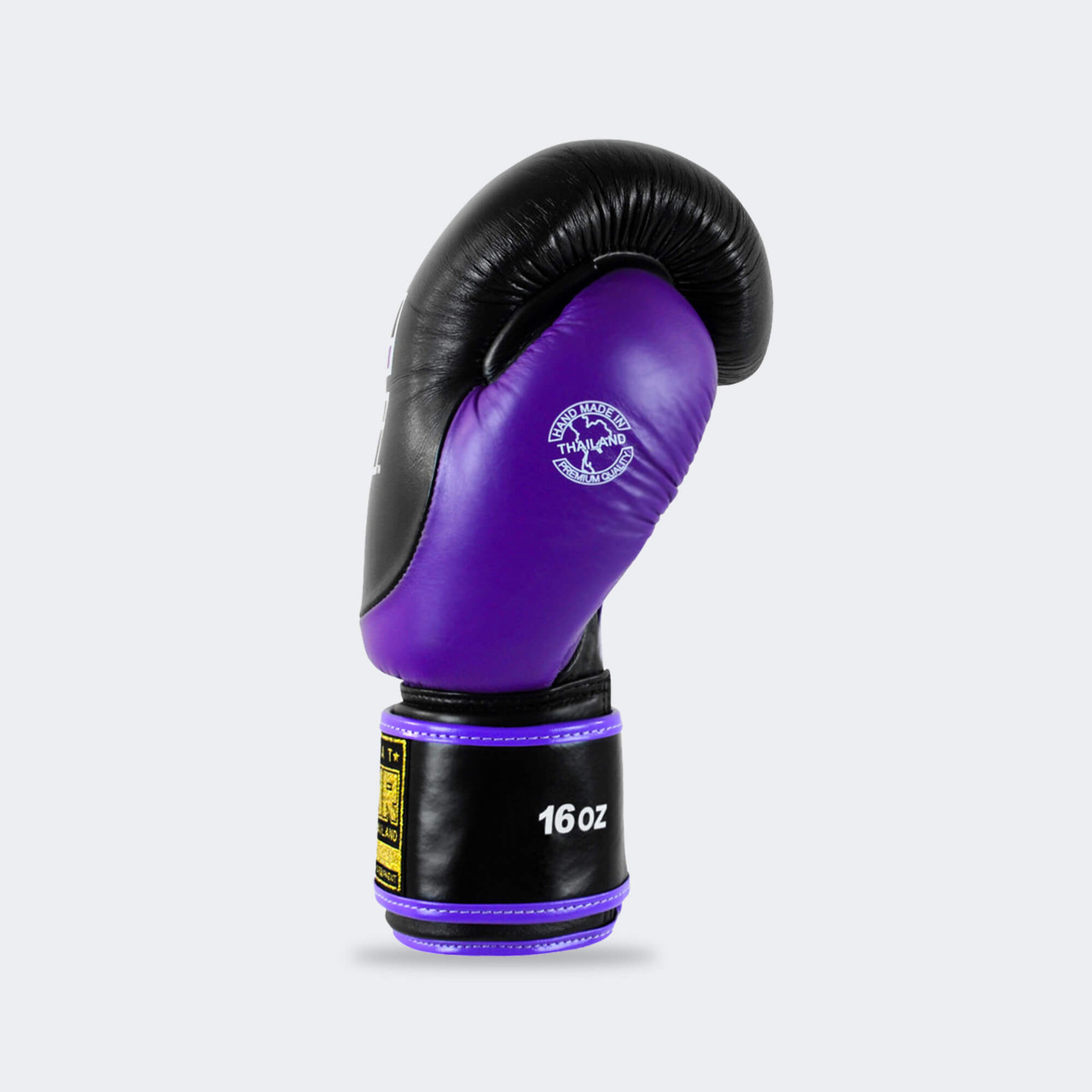 HMIT Boxing Gloves | Purple | Combat Corner