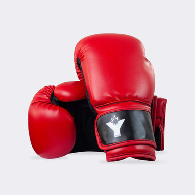 Youngstar 6oz. Youth Boxing Gloves | Combat Corner