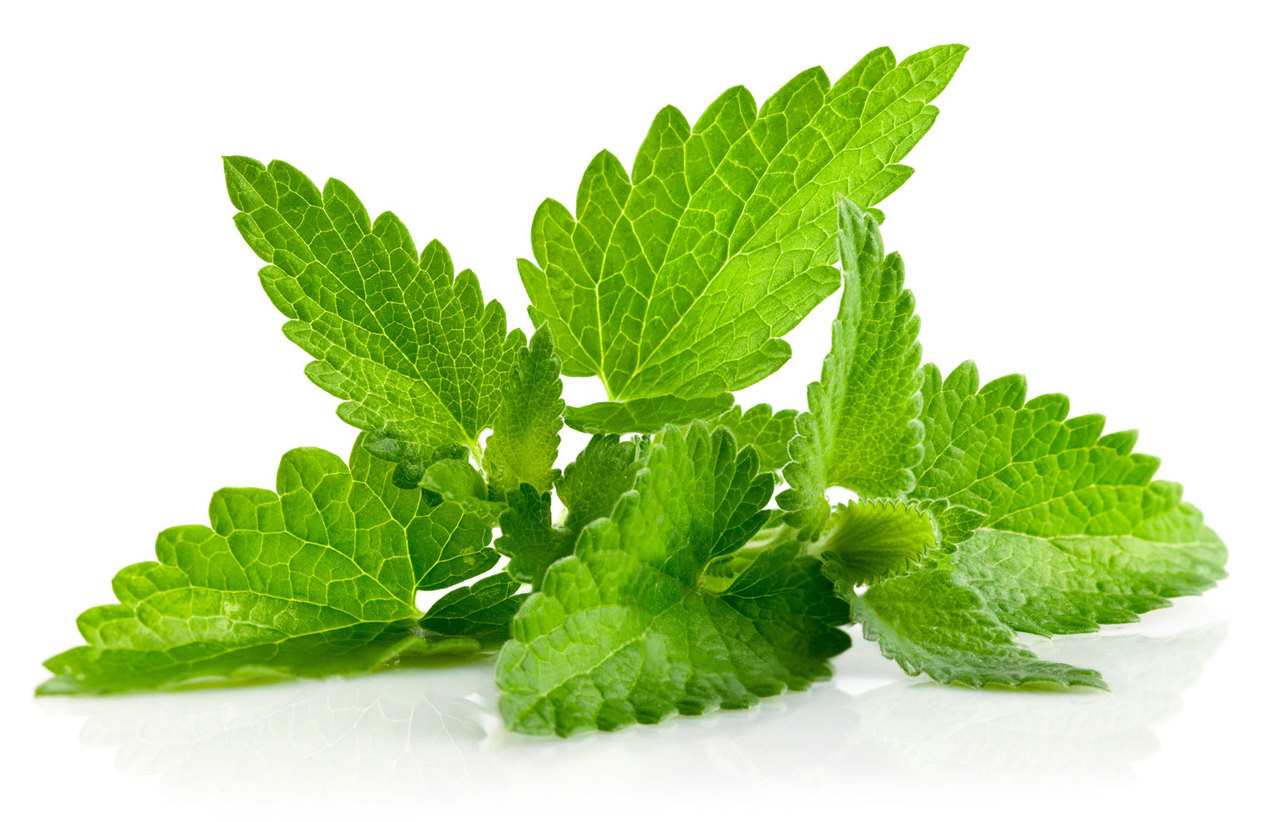Peppermint Essential Oil in Toronto | Buy Online