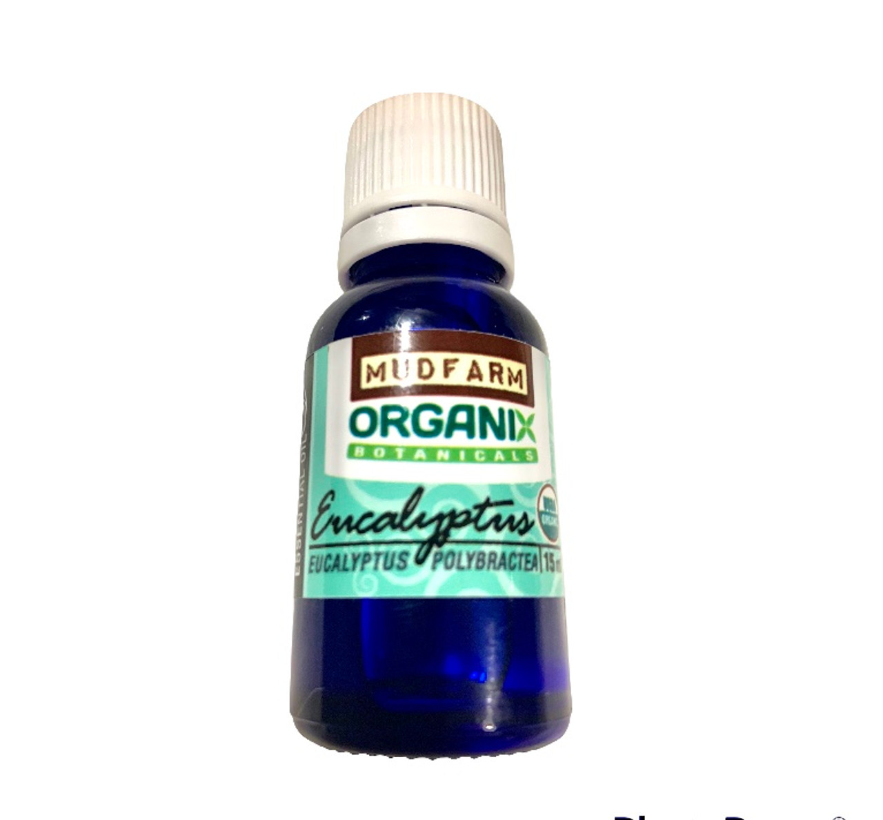 Eucalyptus Organic Essential Oil