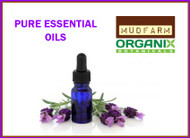 Where To Buy Pure Essential Oils Online