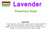 Pure Lavender/Rosemary Soap 10 Pk