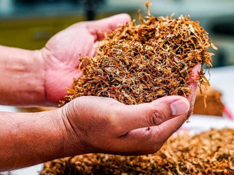 Get to Know Your Tobacco Cuts