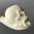 Bearded Biker Skull by A. Cevik Signature Meerschaum Pipe by Paykoc 7.25"