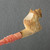 Rustic Wolf Meerschaum Churchwarden Pipe 8" Paykoc