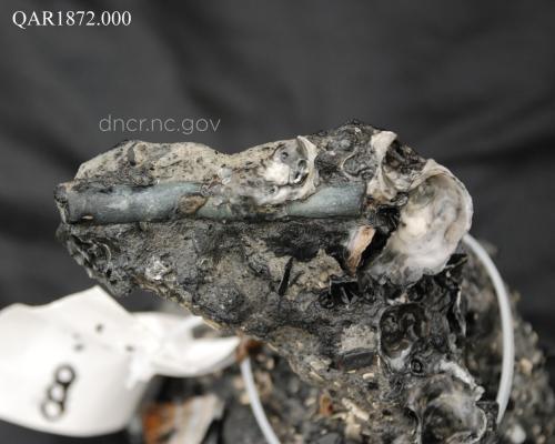 pipestem in concretion