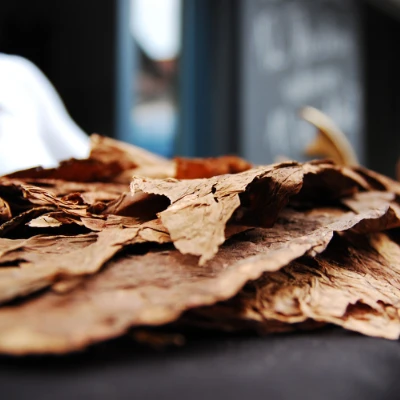 Slices of pressed Virginia flake tobacco on a wooden board.