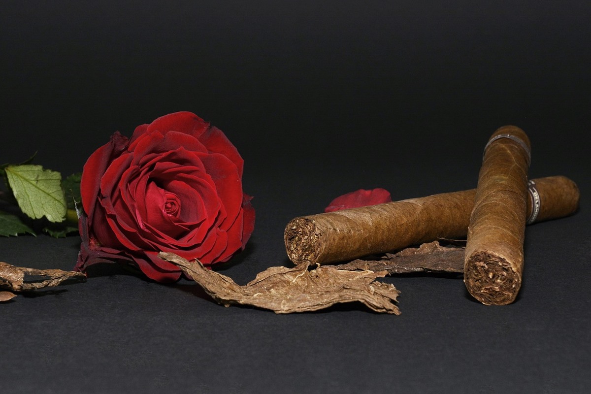 smelling tobacco What Does Smell Like? The Science of Smoke Odor: