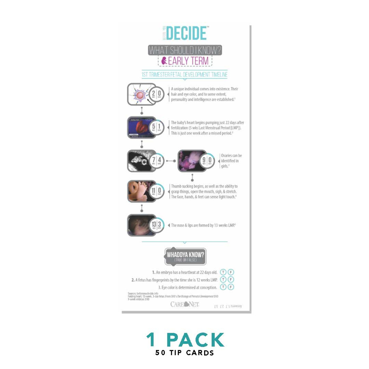 The Complete Before You Decide Bundle