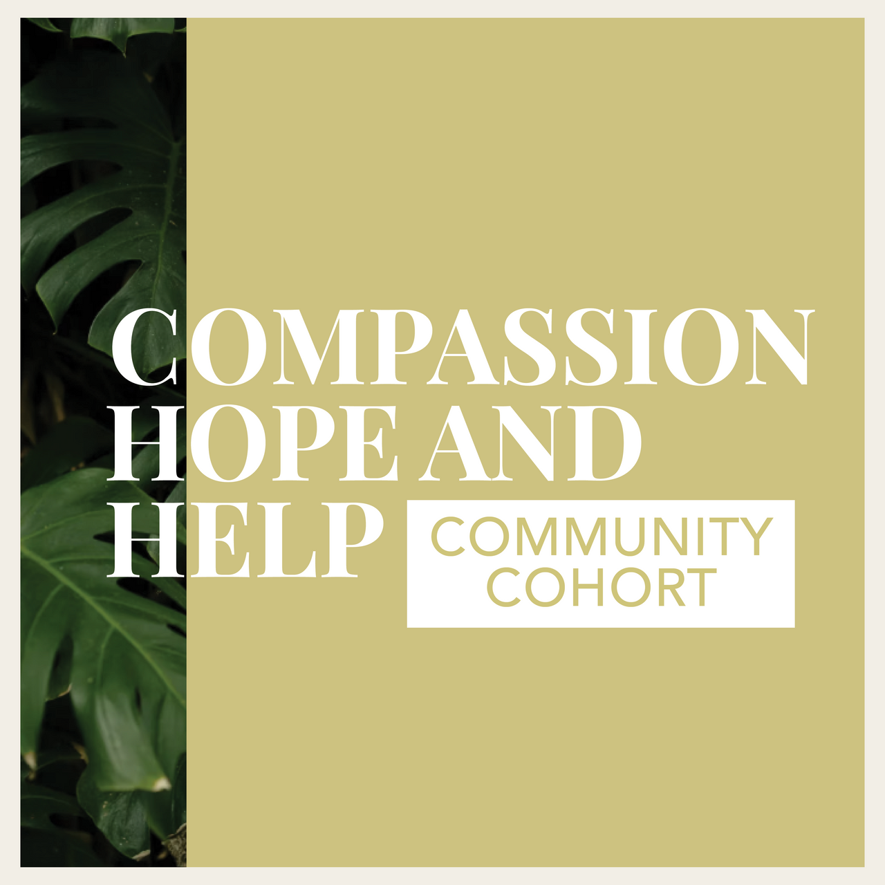 Compassion, Hope, & Help Online – Community Cohort