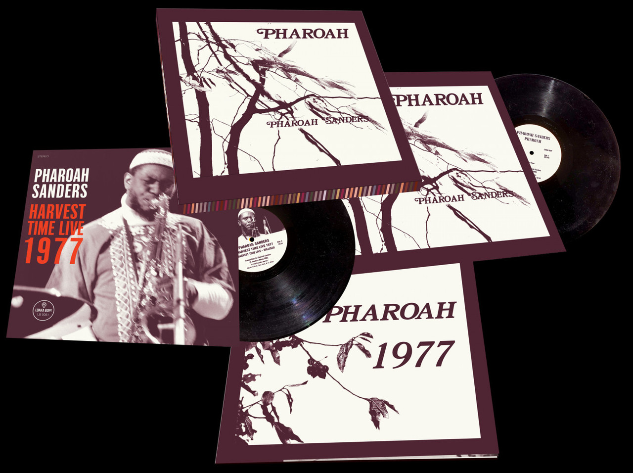 Pharoah Sanders Pharoah (Vinyl 2LP Box Set) Music Direct